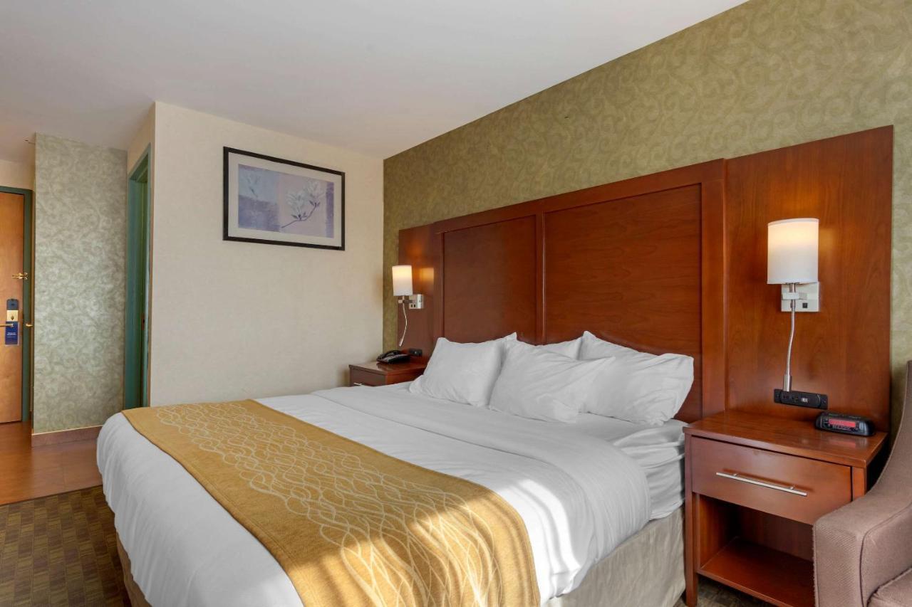 Comfort Brooklyn Hotel Nueva York